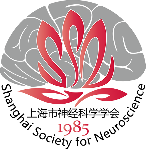 Neuromodulation Branch of the Shanghai Neuroscience Society